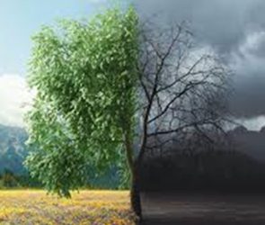 Importance of Prayer in Family Setting 1 Importance of Prayer in Family Setting