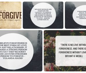 potpourri cover Potpourri