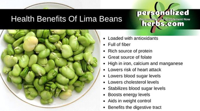benefits of lima beans Health Benefits of Legumes
