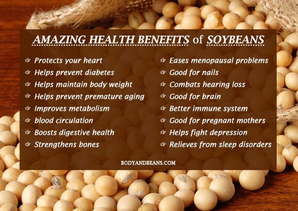 benefits soybean Health Benefits of Legumes