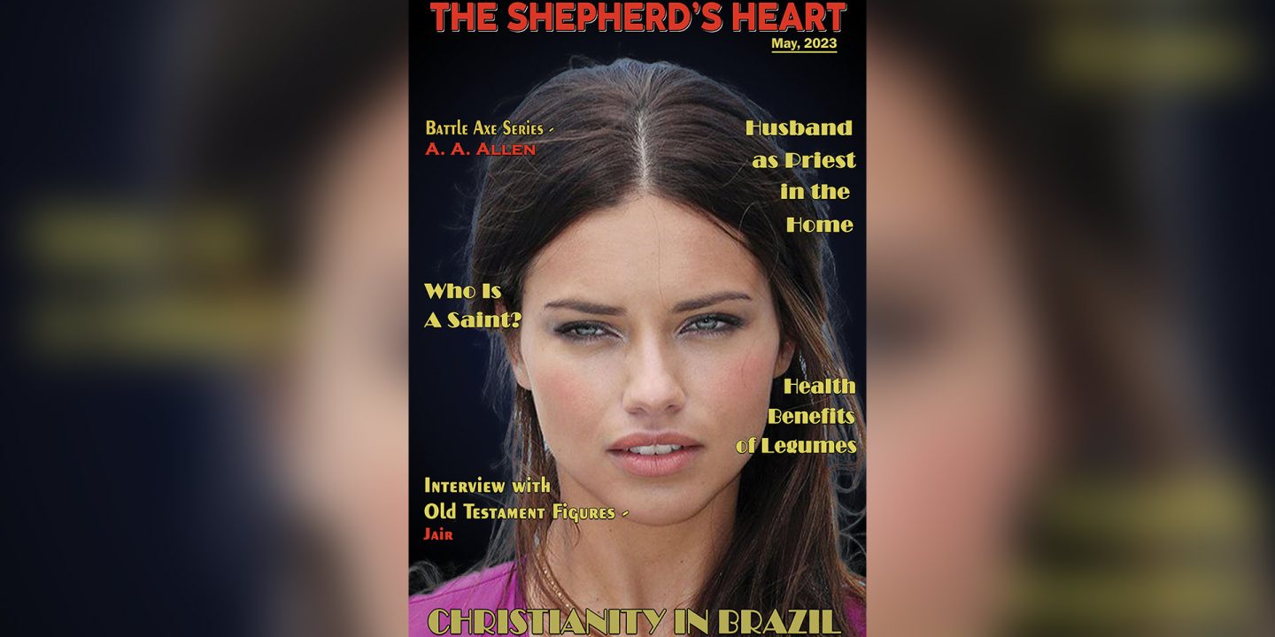 cover 2 The Shepherdheart
