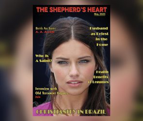 cover 2 The Shepherdheart