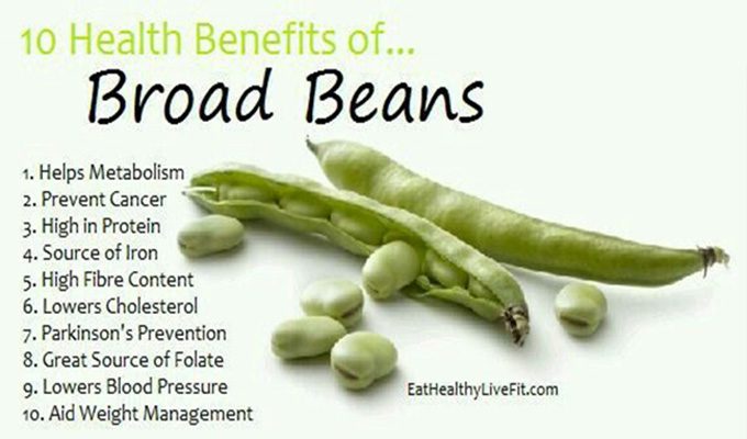 broad beans Health Benefits of Legumes (Part 2)