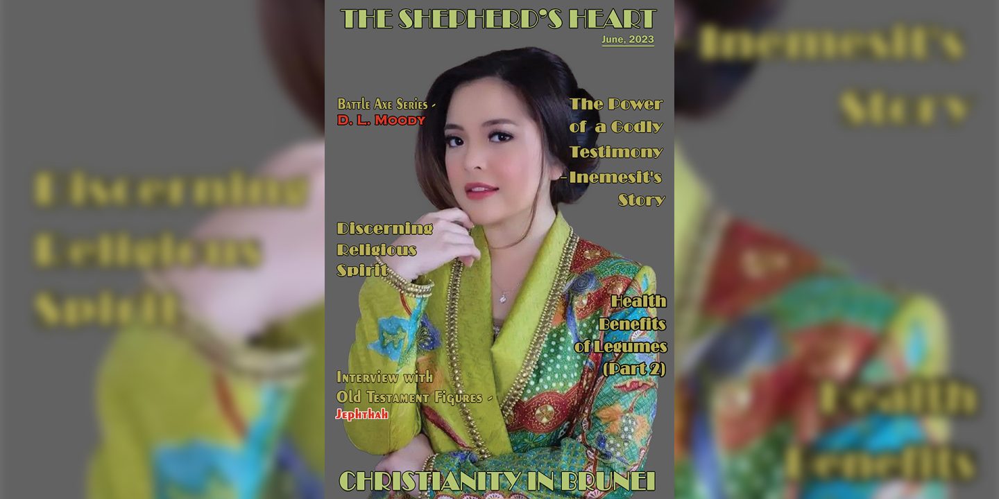 cover 2 The Shepherdheart