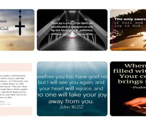 potpourri cover Potpourri