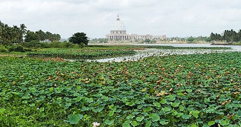 flora Christianity in Cote d’Ivoire