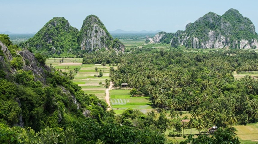 flora Christianity in Cambodia