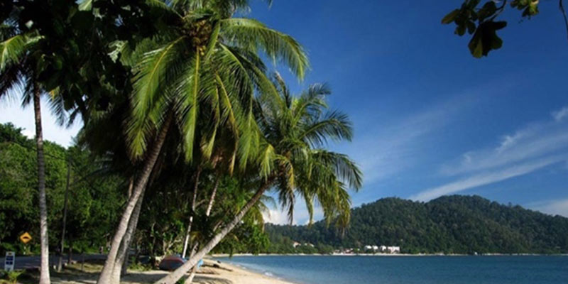 beach pictorial excert