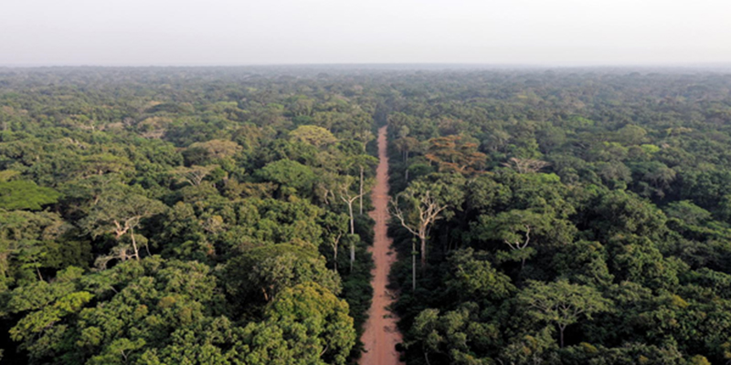flora Christianity in Central African Republic
