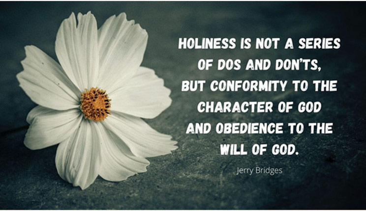 potpourri 13 Potpourri