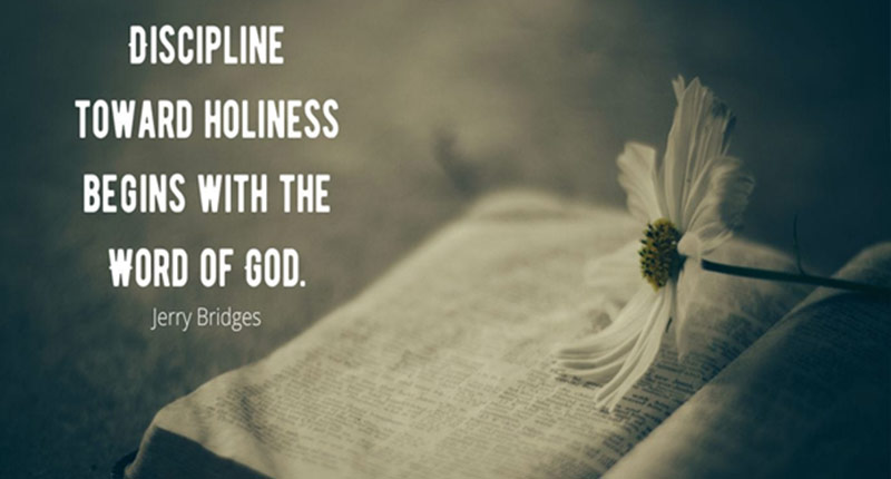 potpourri 2 Potpourri