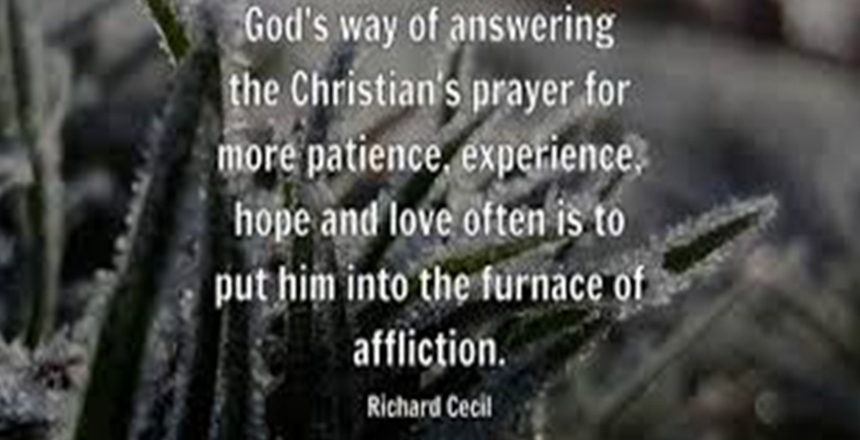 potpourri 16 Potpourri