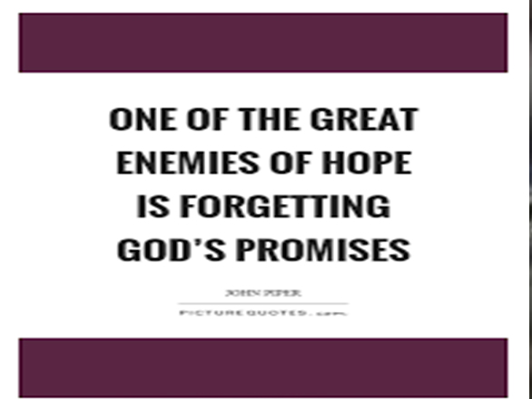 potpourri 17 Potpourri