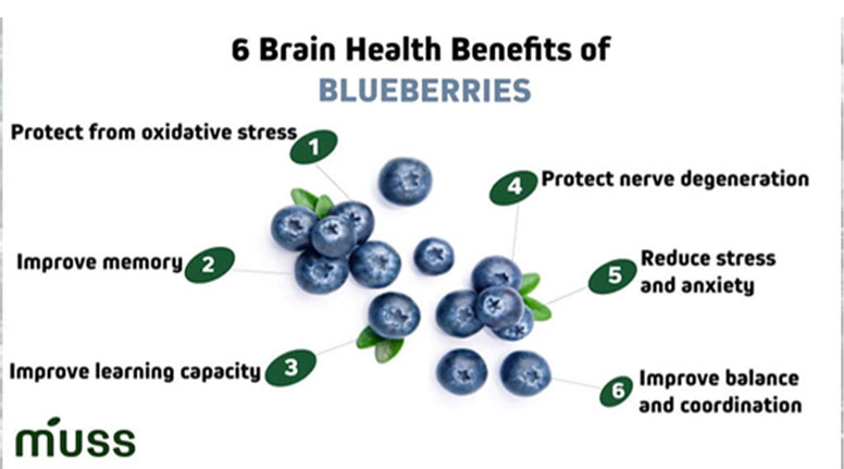  6 Brain Health Benefits of Blueberries