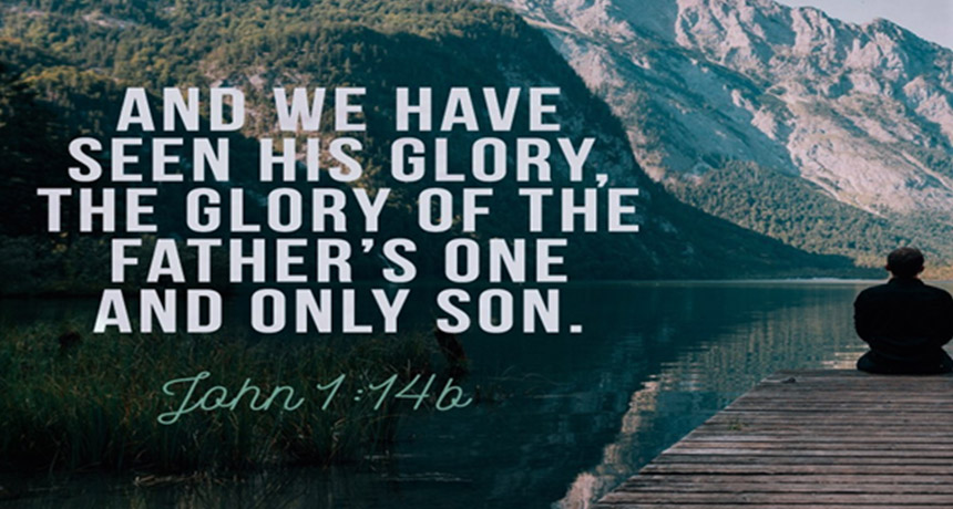 And we have seen His glory