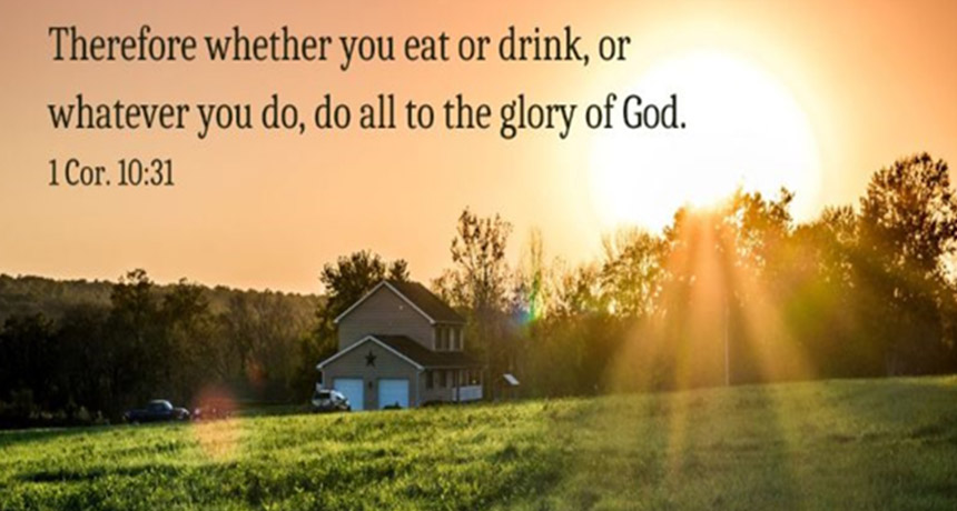 there whether eat or drink