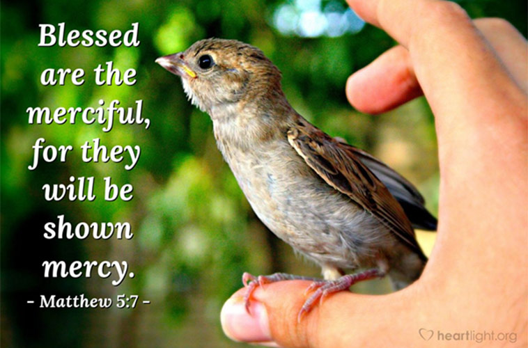 Blessed are the merciful