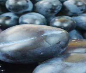Health Benefits of Purple and Blue Fruits