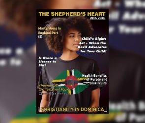 The Shepherd Heart Embracing the Abundant Life in Christ