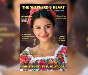 The Shepherd heart The Shepherd Heart