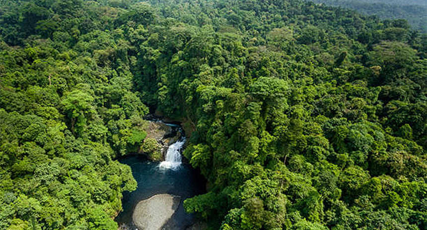 Equatorial Guinea Flora 4 Christianity in Equatorial Guinea