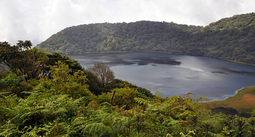 Equatorial-Guinea-Flora