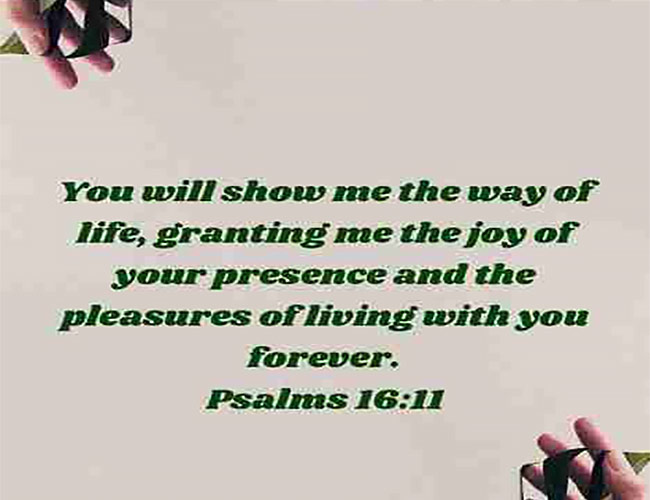 you will show me the way