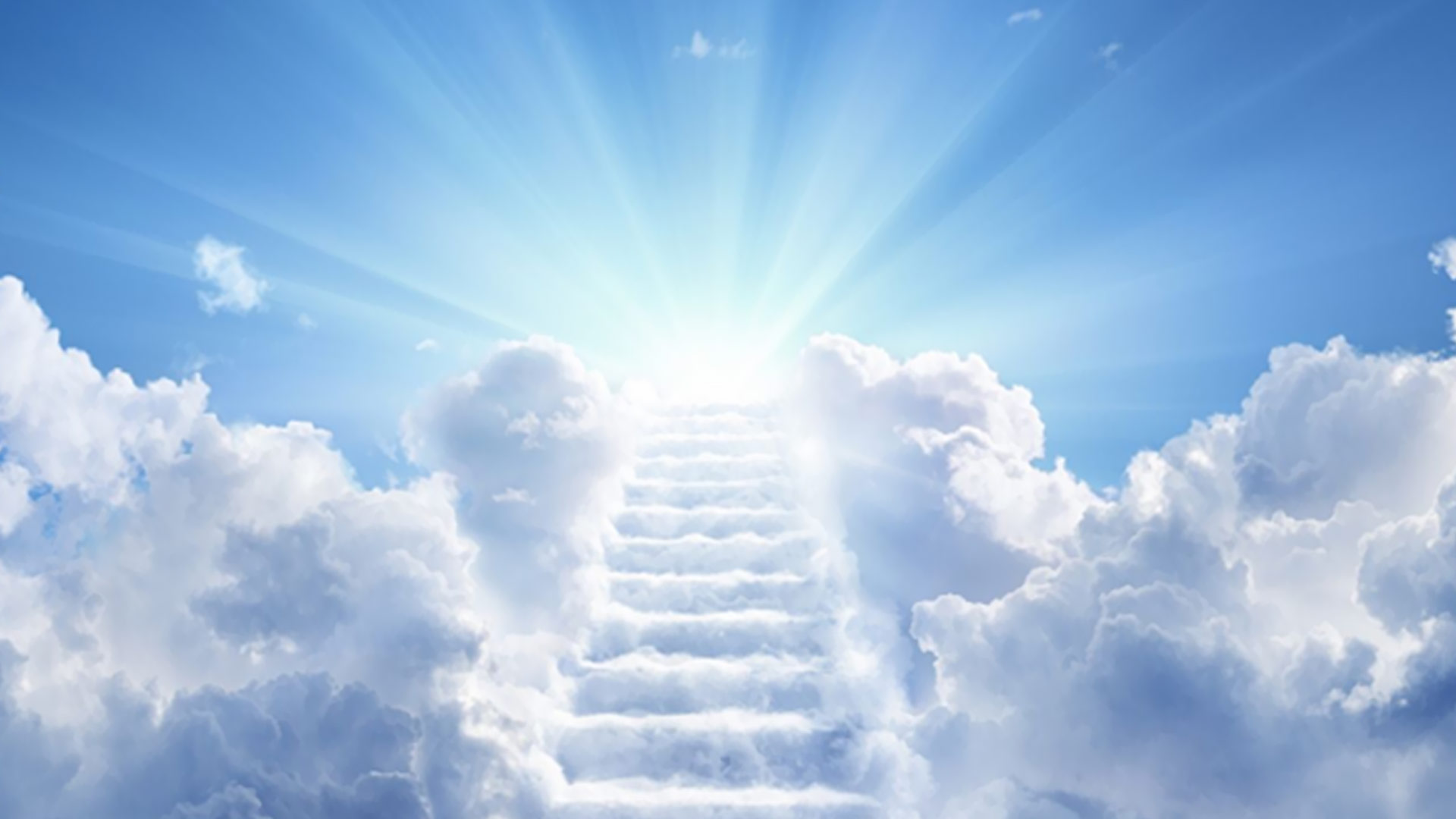 Potpourri Eternal Life Eternal Life