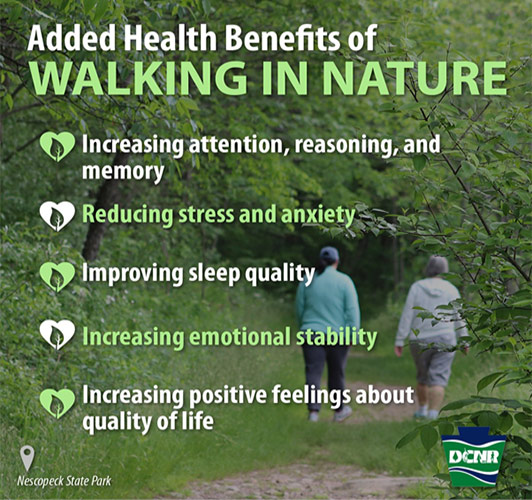 Added Health Benefits of Walking in Nature