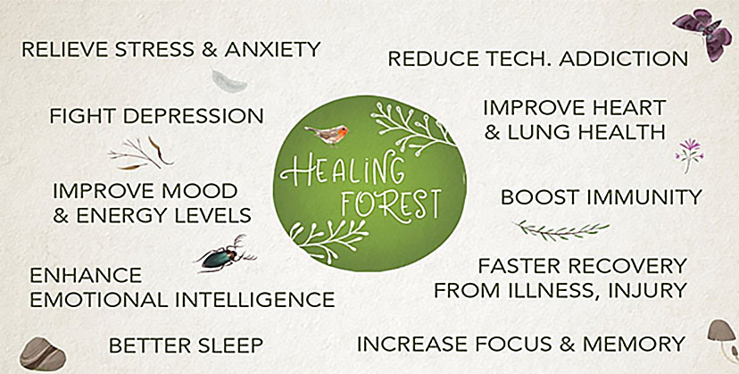 Healing Forest