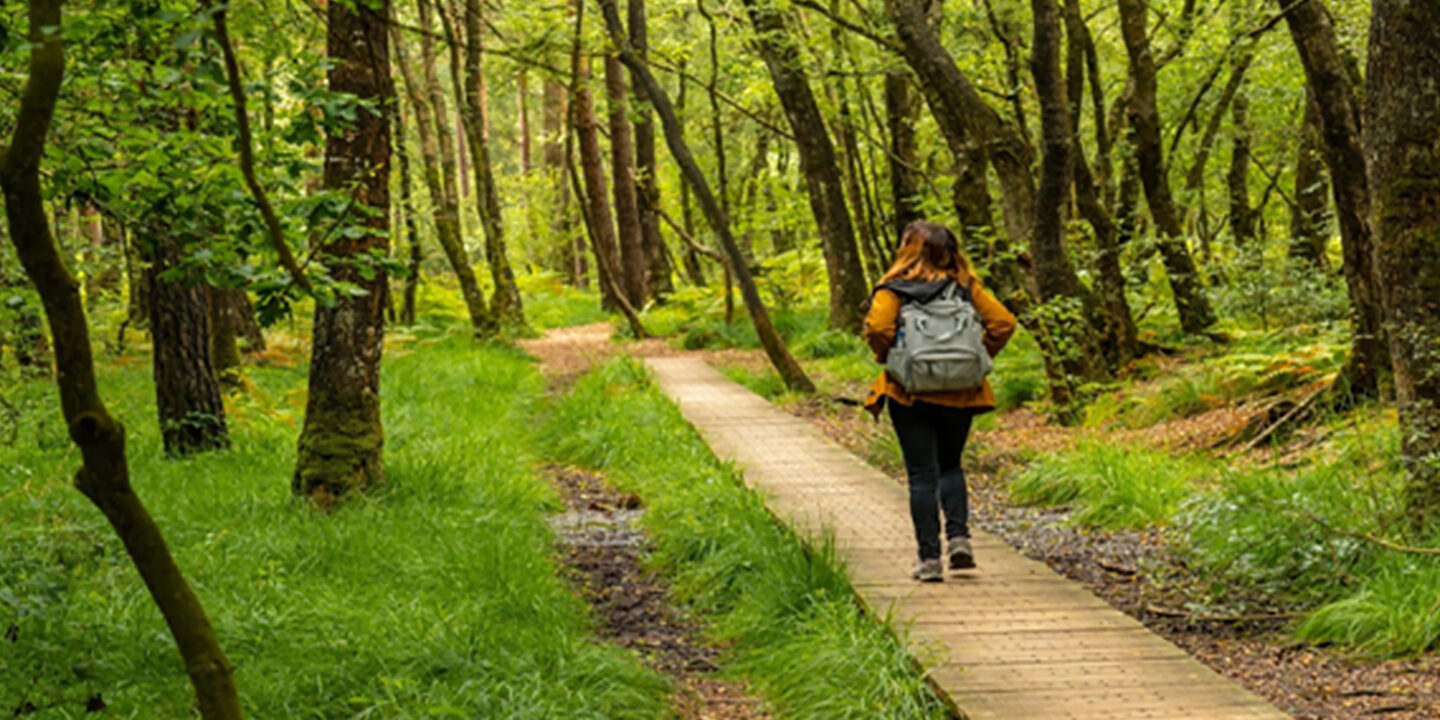 Health Benefits of Nature Walks