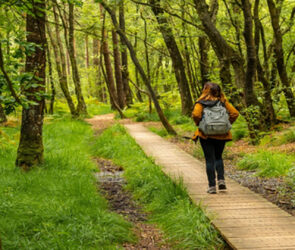 Health Benefits of Nature Walks