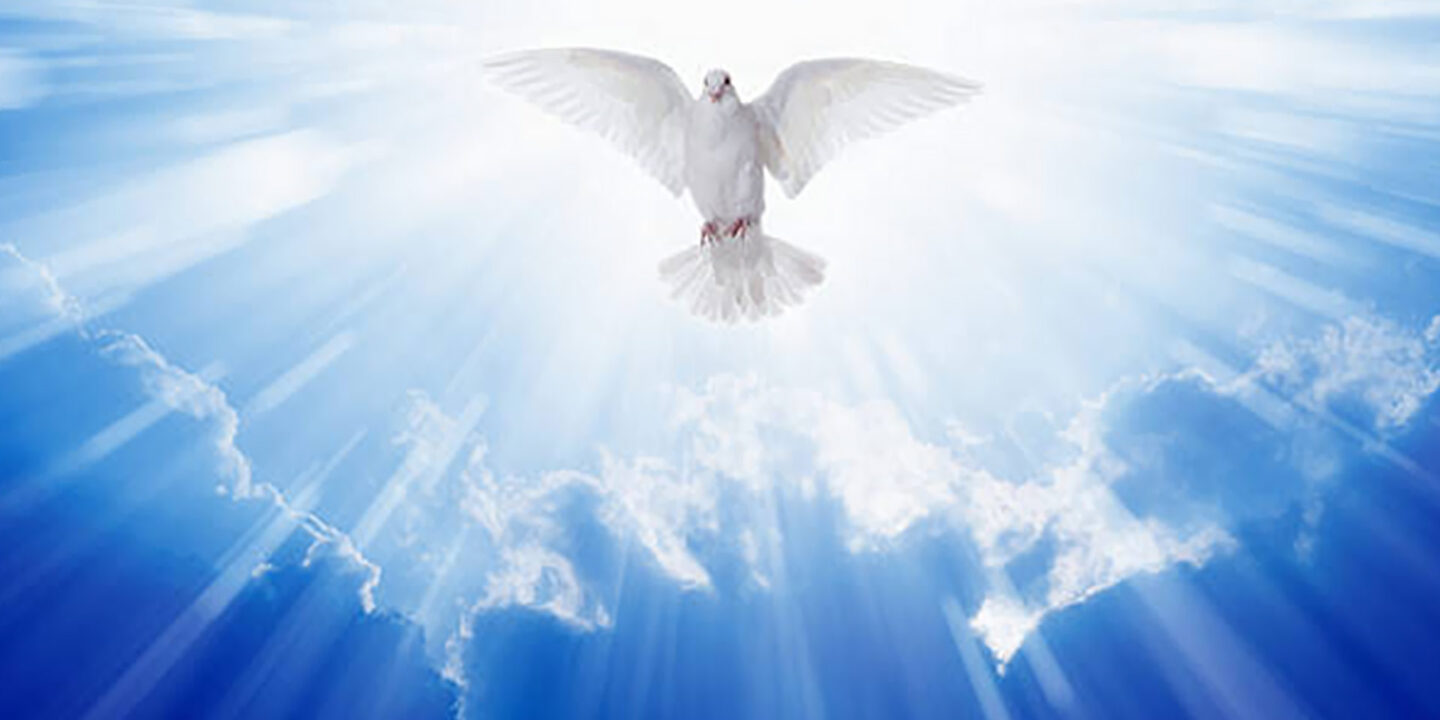 Potpourri – Holiness