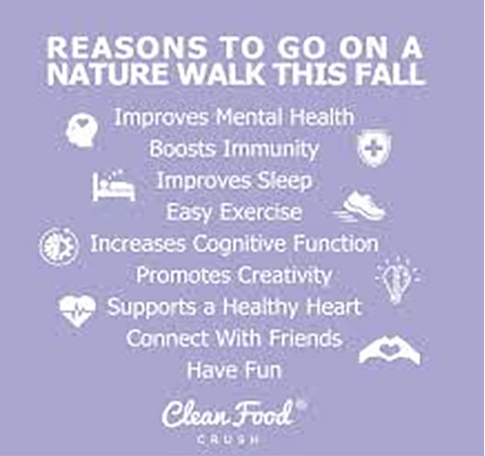 Reasons to go on a Nature walk